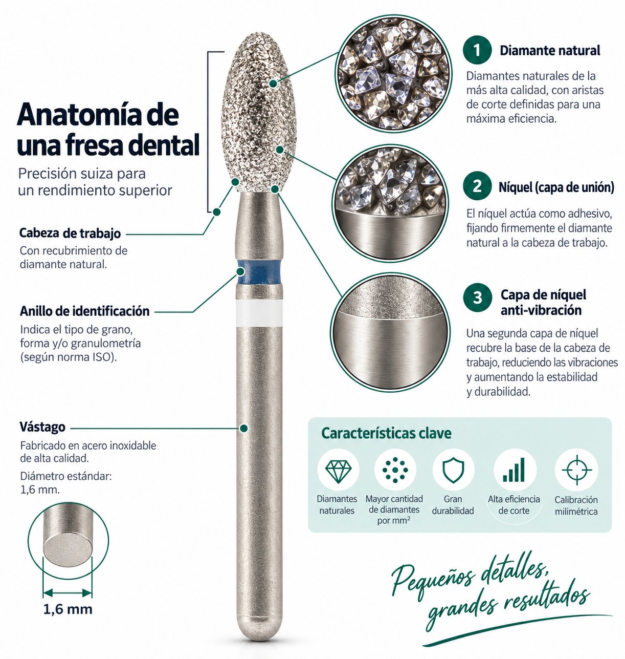 Anatomía de una fresa de diamante Jota: cabeza de trabajo con diamante natural, anillo de identificación según norma ISO, vástago de acero inoxidable de 1,6 mm, capa de níquel de unión y capa anti-vibración en la base de la cabeza.