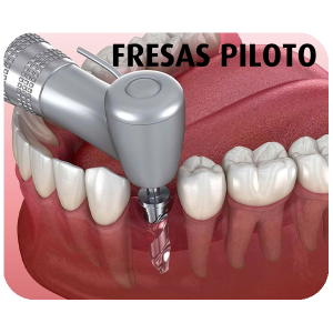Fresas Piloto